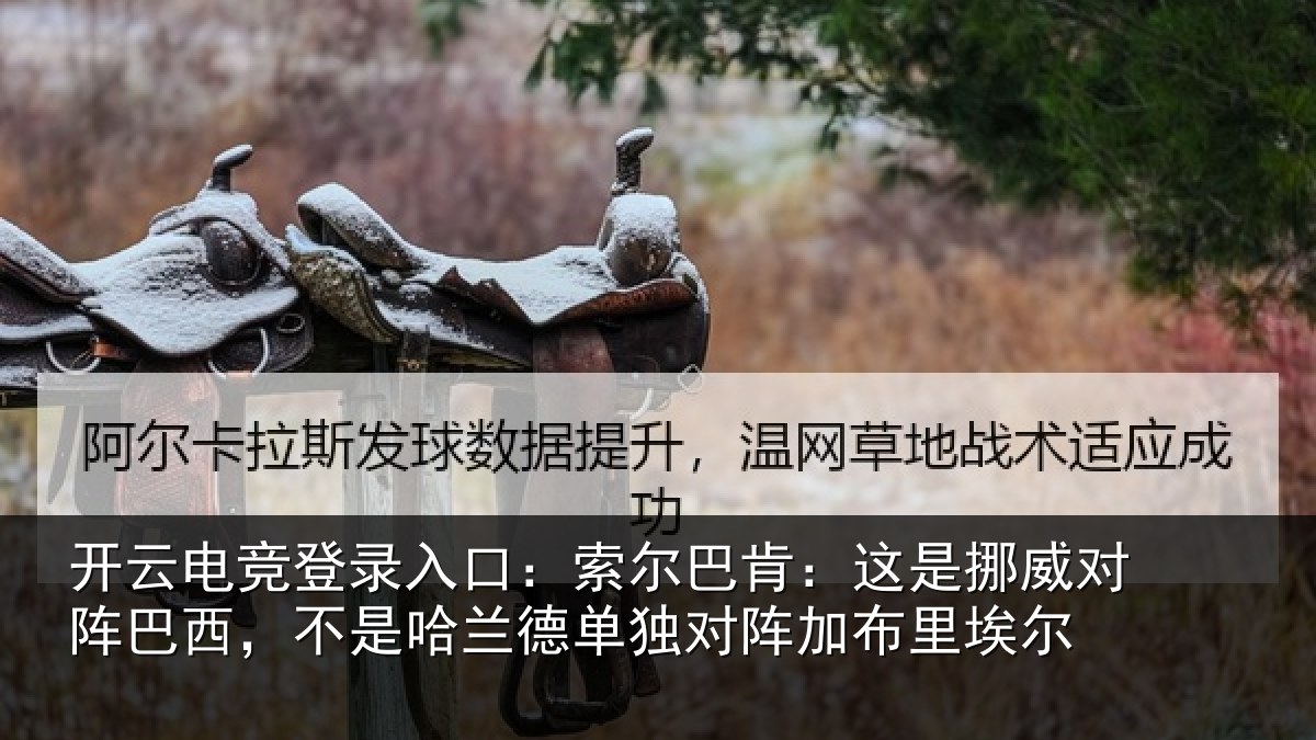 开云电竞登录入口:索尔相关情况巴西相关情况阵加布里埃尔