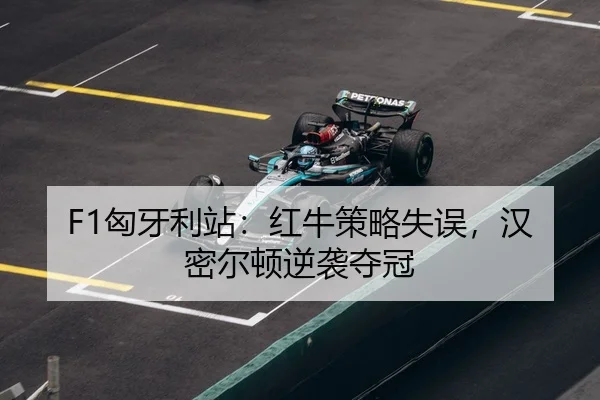 xiong-ya-li-zhan-hong-niu-ce-lve-shi-wu-han-mi-er-dun-ni-xi-duo-guan-3-410.jpg